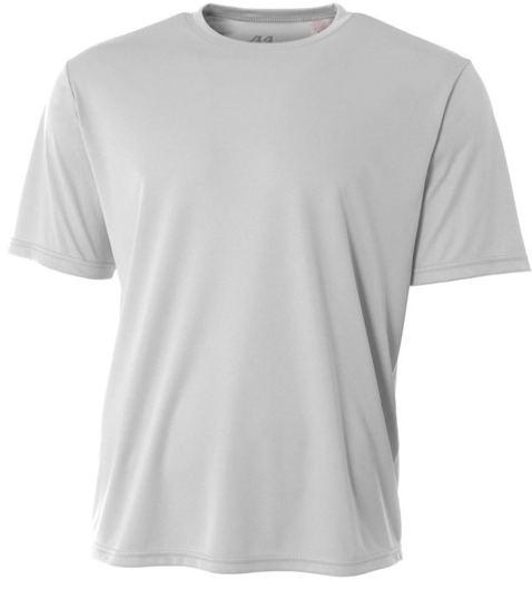Short sleeve T-shirt (silver)